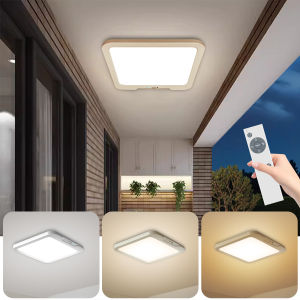 Smart Ceiling Light with Remote and Wall Switch 6000mAh Battery Backup 3 Lighting Modes Motion Sensor Dimmable Lamp for Bedroom