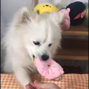 Cute & Soft Plush Toys / Plushies For Small To Medium Pets Cat Plush Toys Dog Plush Toys