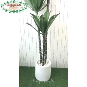 Pohon Imitasi Tanaman Hias Agave Foxtail T180 Latex Pot Silinder Dekorasi Caffe Aesthetic