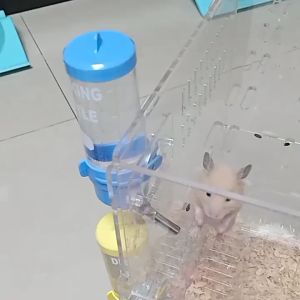 ขวดน้ำแฮมเตอร์ ขวดน้ำกระต่าย 250ml