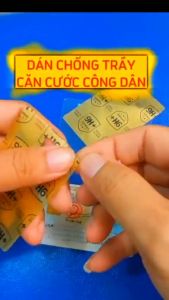 [Combo 50 bộ] Miếng dán căn cước công dân CCCD/Miếng dán bằng lái xe BLX tấm dán cường lực dẻo nano vàng 9h+