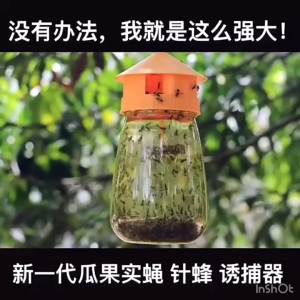 Fruit fly trap needle sharpener citrus melon orchard bee trap insect trap (liquid not included)