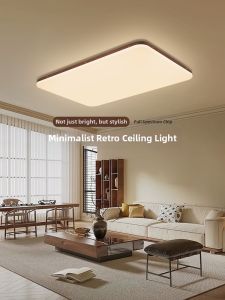 DGY | Vintage Chinese Style LED Ceiling Light