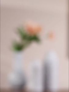 Penghantaran dari China [2025] Pasu Seramik Tidak Berlapis Diameter Besar untuk Hidroponik Gaya Vintaj Gaya Cina Baharu Hiasan Rumah Mudah 3.5