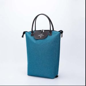 Shopping Cart Luggage Trolley Lever Car Elderly Portable Foldable For Home Shopping Bag Mom Shopping Bag Lightweight Shopping Cart