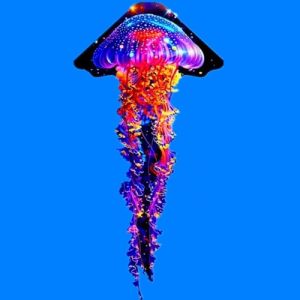 Professional kites flying jellyfish kites for adults kites outdoor games windsurfing colorful kites acquilone beach kite fabric
