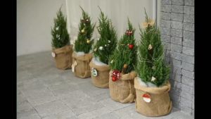 Cây sơn tùng giáng sinh 2024 mini trang trí cây thông noel tặng đèn led Minh Hân Garden