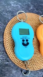 DoraHomi Timbangan Gantung Portable Scale Timbangan Ikan Daging Laundry Ekspedisi Kurir Digital 50kg Free baterai