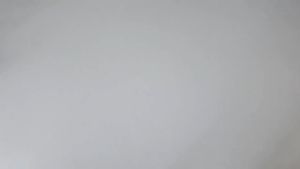 Máy Thử Tiểu Đường NIPRO PREMIER ALPHA - Chính Hãng Nhật Bản Chính Xác Cao 998%