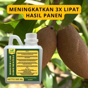 Pupuk Pelebat Sawo Mentega: Panduan Lengkap