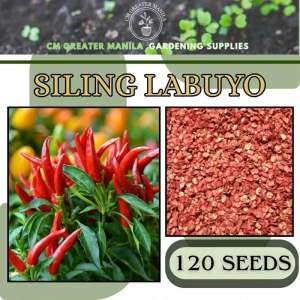 CM SILING LABUYO SEEDS / CHILI PEPPER - EASY TO GROW/HIGH YIELD/ SUPER HOT