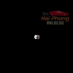 Bộ 2 mang cá loại lớn 4T trang trí 2 bên sườn xe hơi ô tô mô phỏng cửa gió chống va đập - chống xước xe