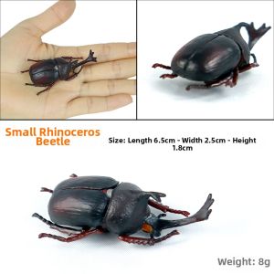 Educational Insect Model Toy