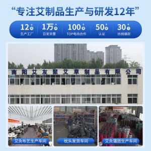 Electric Heating Moxibustion Bag Office Home Use Warm Belly Warm Waist Mugwort Heat Pack Massage Equipment Health Care