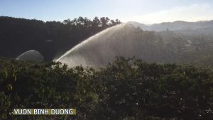 WATA - Súng Tưới Phun Mưa/ Khoản Cách Tưới 70 m/ Áp Lực 2-7 Bar/ lưu lượng Tưới 22-35m3/h (BH 1 Năm)