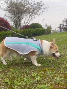 Rompi Anjing HARPO12 Baju Rompi Anti Panas Candy Pet Dog Cooling Vest