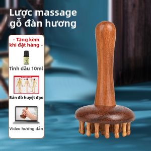 Bàn Chải Mát-xa Gỗ Đàn Hương Cho Bụng Và Toàn Thân Chăm Sóc Da Và Làm Đẹp Dụng Cụ Mát-xa Toàn Thân Dùng Tại Nhà Thương Hiệu JinTaiKang