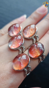 Collection Grade Koi Hematoid Titanium Adjustable Rings