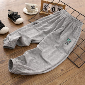 Boys Summer Thin Ice Silk Breathable Pants Mosquito Proof Air Conditioning Long Trousers Childrens Casual Cotton Nylon Fabric