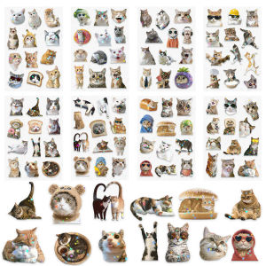 8/16/24PCS Cute Cat Bag Transparent PET Star Film Stickers DIY Water Cup Stationery Notebook Decorative Stickers
