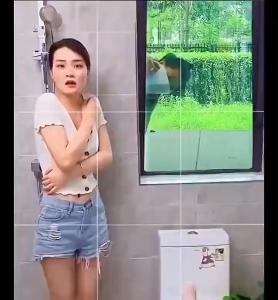 Glass Frosted Paint 500g Free Tools Quick Drying Window Privacy Film Window Sticker For Bathroom