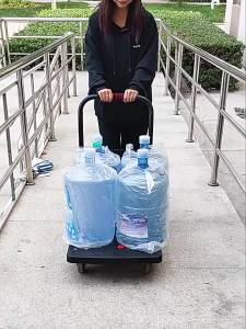 Portable Foldable Quiet Hand Cart
