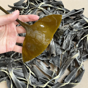 FANZUZHEN | Fujian Xiapu Special Grade Thick Soup Sea Weed
