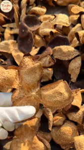 Trần bì Tân Hội 100g vỏ quýt khô Quảng Đông hàng loại 1vỏ dày thơm giảm ho tốt cho sức khỏe