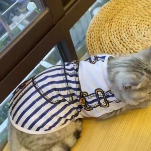 áo cho chó áo cho chó poodleđ Áo dễ thương xinh xắn thoáng mát dành cho thú cưng #A007