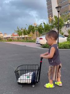 YUANZHENQICAI | Portable Pet Shopping Trolley