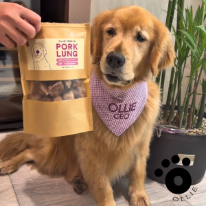 Ollie Treats: Pork Heart