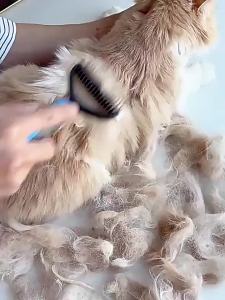 Double Sided Pet Deshedding Brush Stainless Steel Dog Comb Grooming Tool for Shedding And Dematting - Effective Pet Care