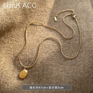 Titanium Steel No Fading Necklace Womens Accessible Luxury Niche Design Sweater Chain 2024 New Arrival Best Selling Clavicle Chain Neck Chain