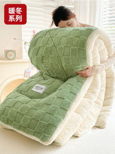 Thickened Milk Velvet Quilt Cotton Durable Warm Student Dormitory Single Autumn Winter Core 10 Pounds Antibacterial Polyester Fiber