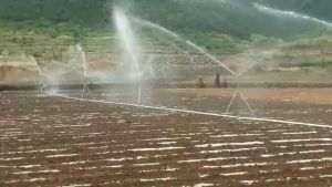 ตีน้ำหัวสปริงเกอร์ CS100 กำลังสูงสุดใน 1 นิ้ว หมุนรอบตัว 360° เพิ่มประสิทธิภาพในการดูแลผิว 360 องศาหมุนรดน้ำ Sprayer หรือการฉีด นอกจากนี้หัวฉีดอลูมิเนียมอัลลอยด์ปรับหัวฉีดสเปรย์สำหรับกระทู้