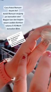 Ramuan Bujang Dayak: Rahasia Ramuan Herbal Kalimantan