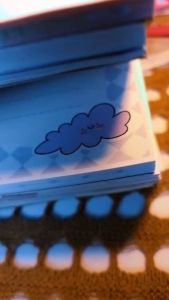 Note Pad Diaries: The Perfect 4x5.5 Inch Notebook