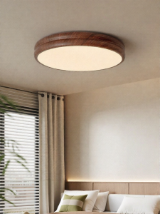 FANCY LAMP CLUB | Retro Bedroom Ceiling Light Remote Control