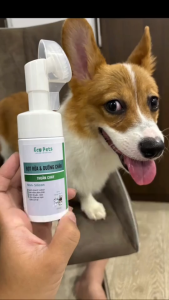 Bọt Làm Sạch & Dưỡng Ẩm Chân Cho Chó Mèo Ecopets 100ml - Sạch sâu an toàn hiệu quả