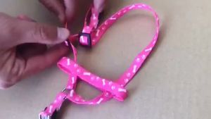 Tali Tuntun Hewan Harness Leash Single Tone Strip Kucing Kelinci Dan Anjing Awet Bahan Tebal