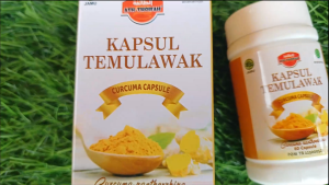 Temulawak 60 Kapsul Obat Herbal Hepatitis dan Menyehatkan Hati dari Ath Thoifah