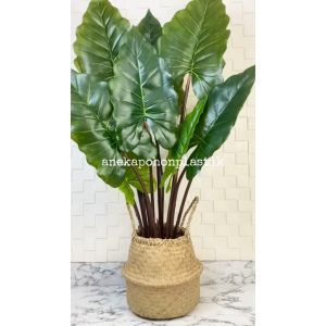 Pohon Hias Artificial Keladi Giant Taro & Keladi Pelangi T120 Latex Cover Anyaman Purun Belly Medium Dekorasi Kantor Aesthetic