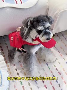 hipidog | Pet Dog Life Jacket