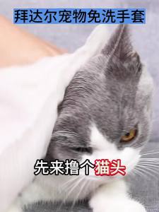 BAYLDAHL | No-Rinse Cleaning Gloves for Pets