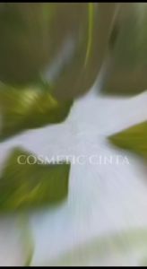 Paket  Hemat Skincare Lengkap Bodycare Whitening Kulit Putih glowing Anti kulit Belang Original Bpom