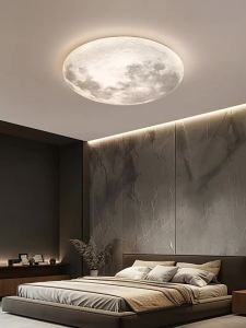 DGY | Minimalist Modern Nordic Circular Ceiling Light