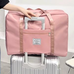 AJZC | Student Dormitory Living Essentials