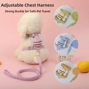 Adjustable Dog Harness Leash for Small Dogs
