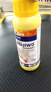 แรมเพจ 500 ซีซี ยาฆ่าแมลง คลอร์ฟีนาเพอร์  สูตรเย็น สารกำจัดแมลง หนอนกระทู้ข้าวโพด หนอนใยผัก หนอนหนังเหนียว หนอน อัตรา 1 ขวด ผสมน้ำ 400 ลิตร ยาฆ่าแมลงคลอร์ฟีนาเพอร์ ยาคลอร์ฟีนาเพอร์ - Lazada