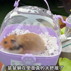 🐹พร้อมส่ง🛸กรงหนูแฮมสเตอร์ ง่ายต่อการพกพา 360 °พาโนรามา อุปกรณ์หนูแฮมสเตอร์ กรงนอก กรงแฮมสเตอร์